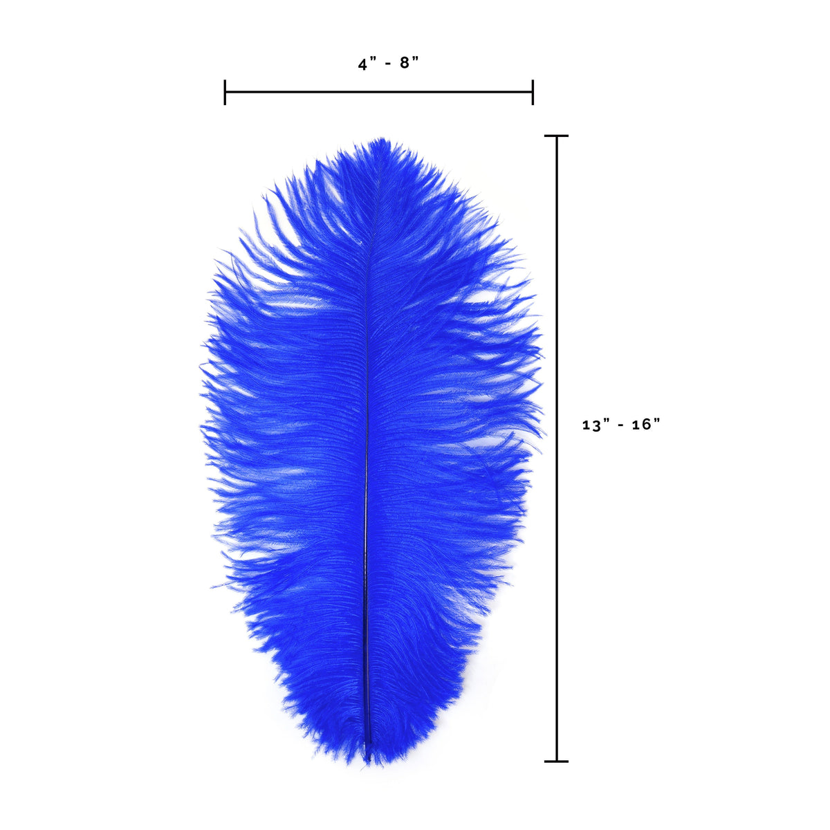 Ostrich Feathers 13-16" Drabs - Royal