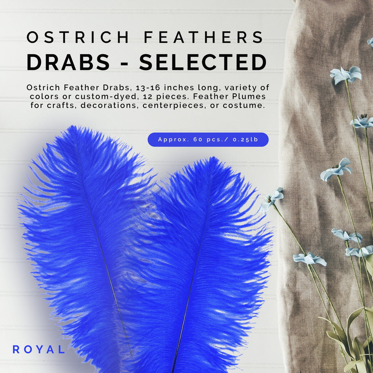 Ostrich Feathers 13-16" Drabs - Royal