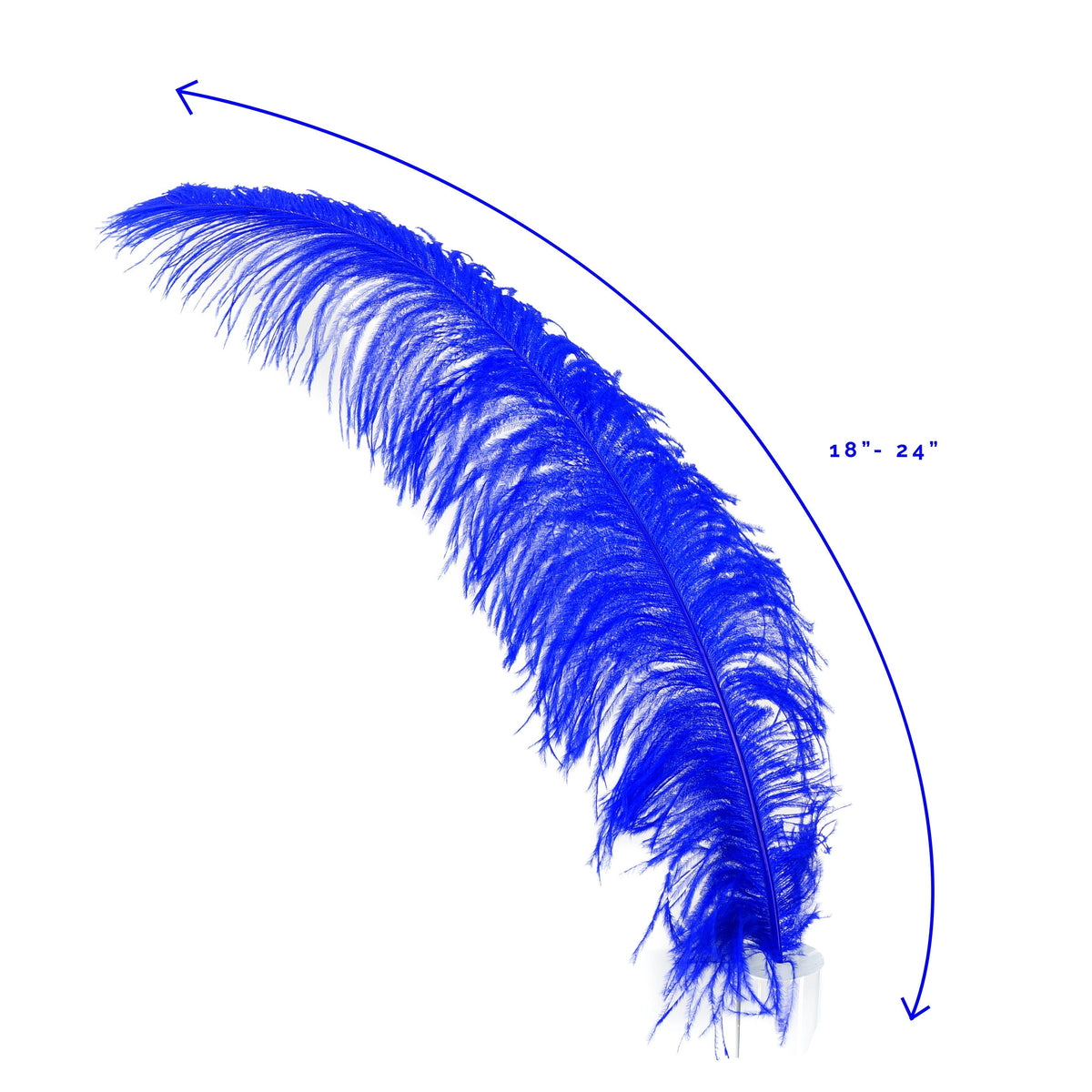 Large Ostrich Feathers - 18-24" Spads - Royal