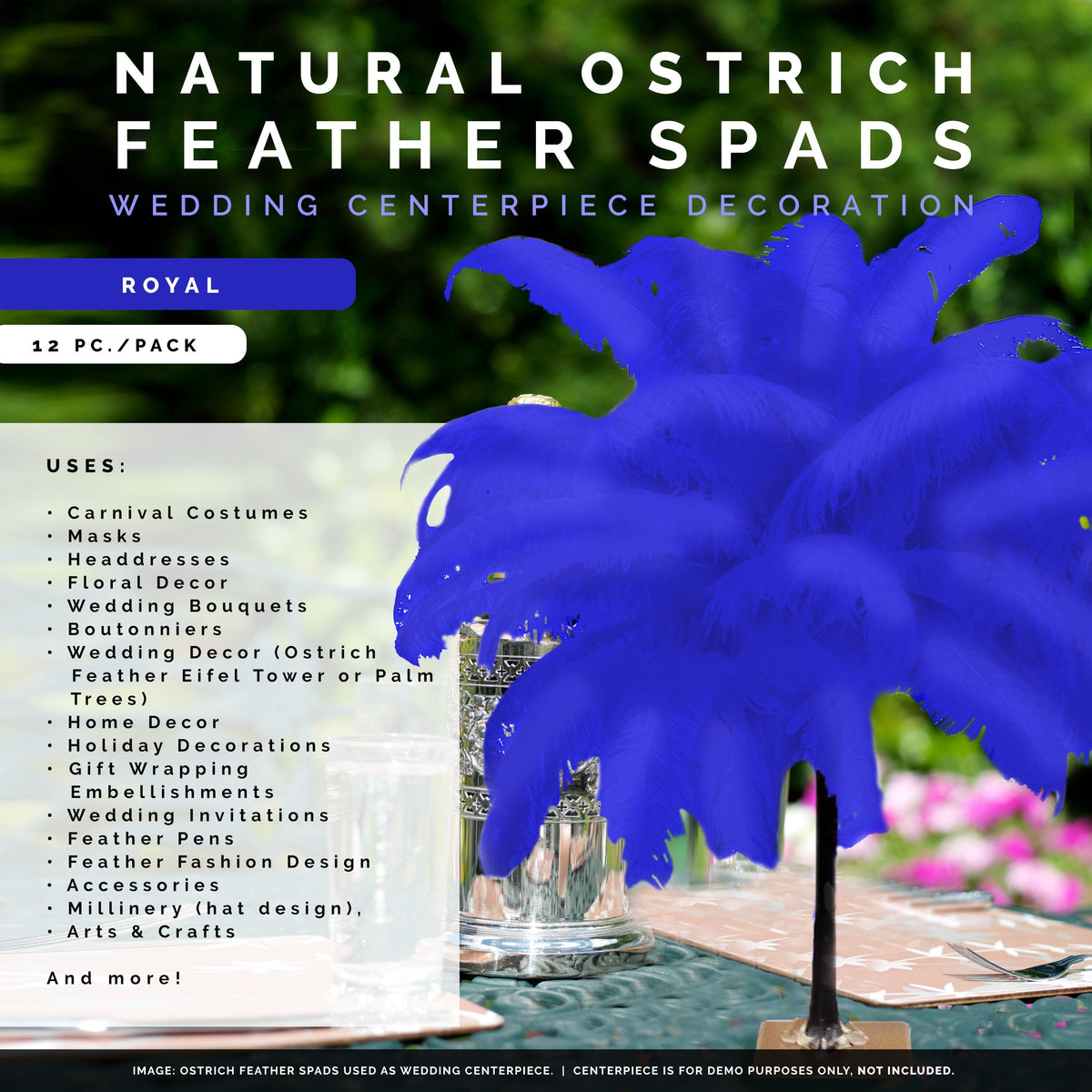 Large Ostrich Feathers - 18-24" Spads - Royal