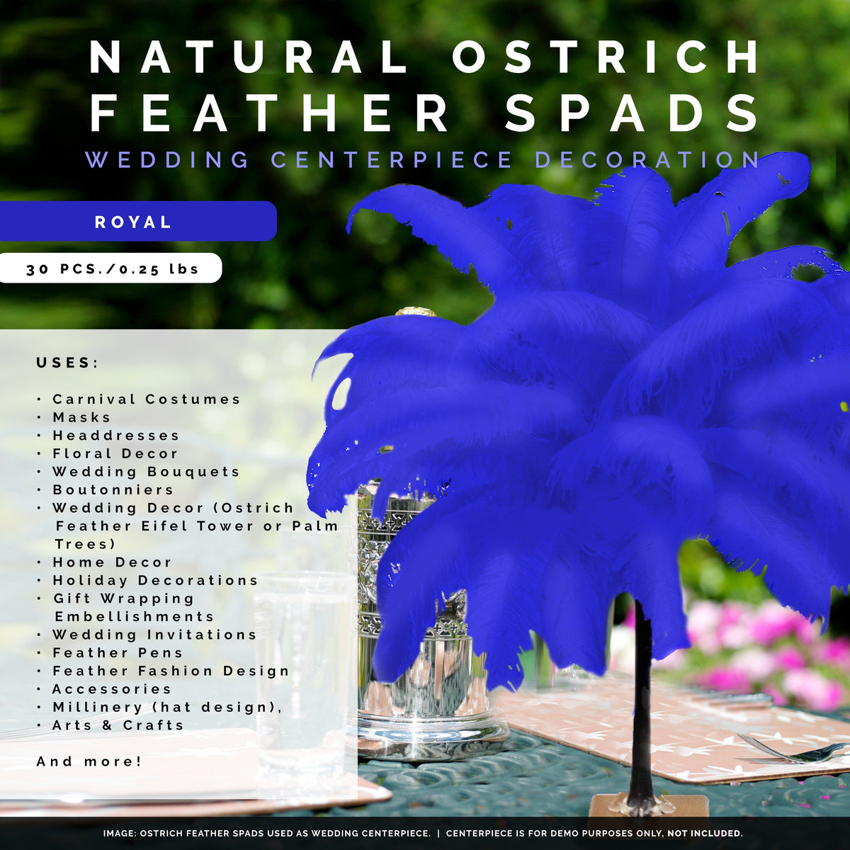 Large Ostrich Feathers - 18-24" Spads - Royal