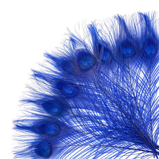Peacock Feather Eyes Bleached & Dyed Royal