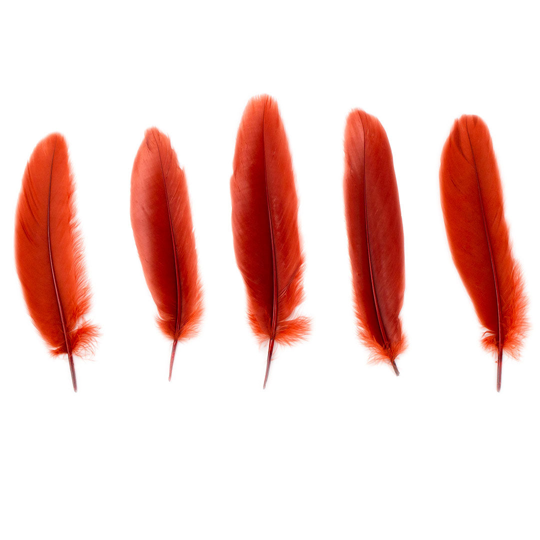 Goose Satinette Feathers Dyed - Rust - 1/4 lb