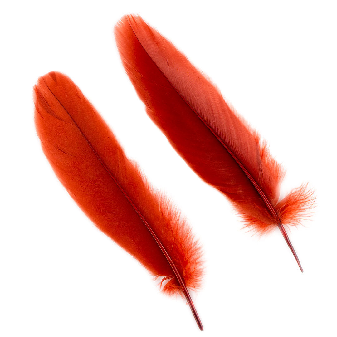 Goose Satinette Feathers Dyed - Rust - 1/4 lb