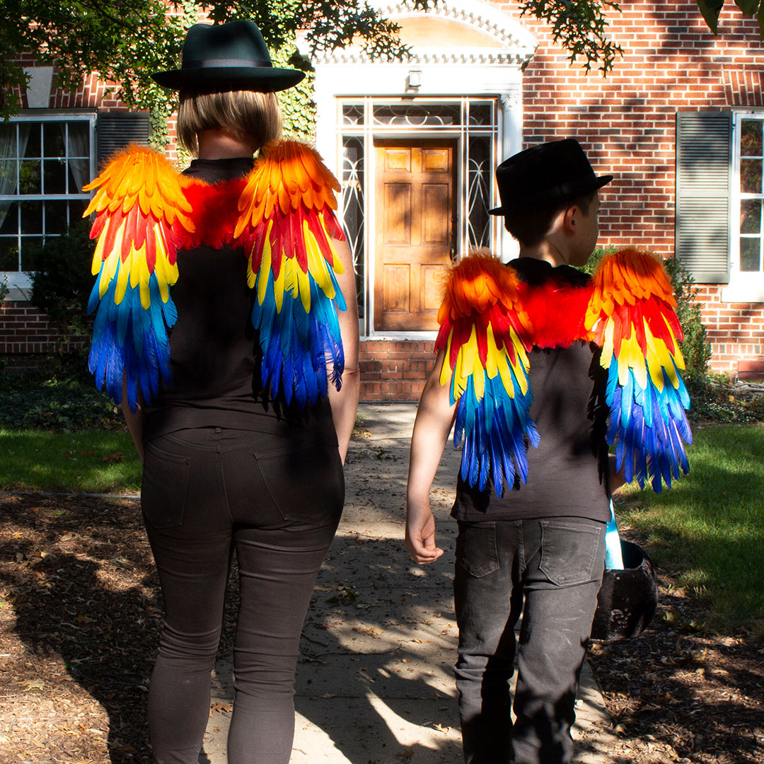 Scarlet Macaw Costume Feather Wings