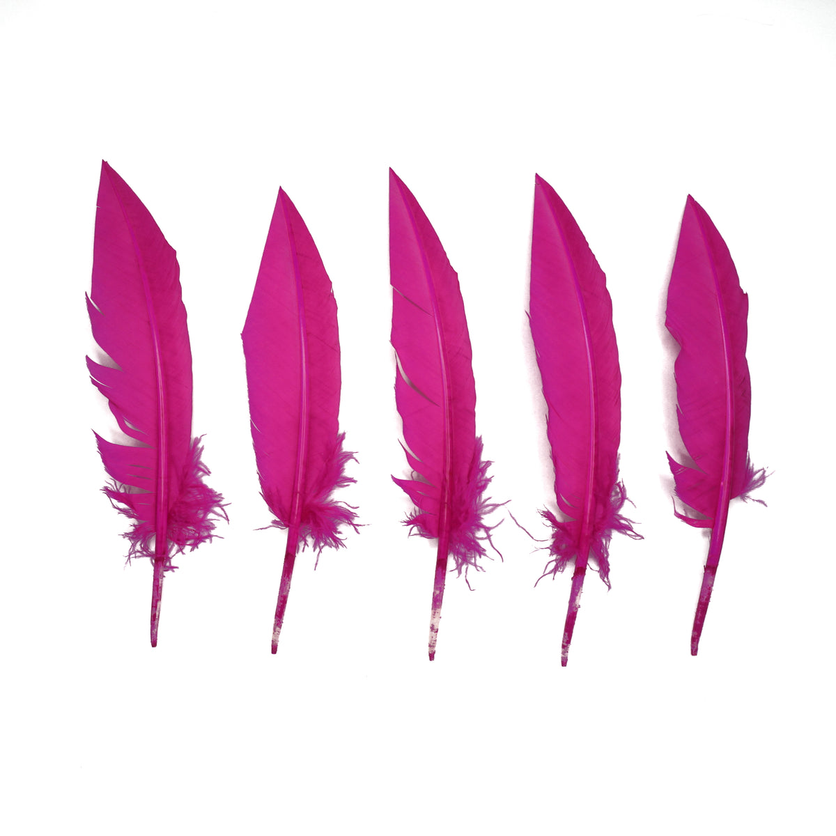 Shocking Pink Dagger Turkey Quill Feathers 9-12"