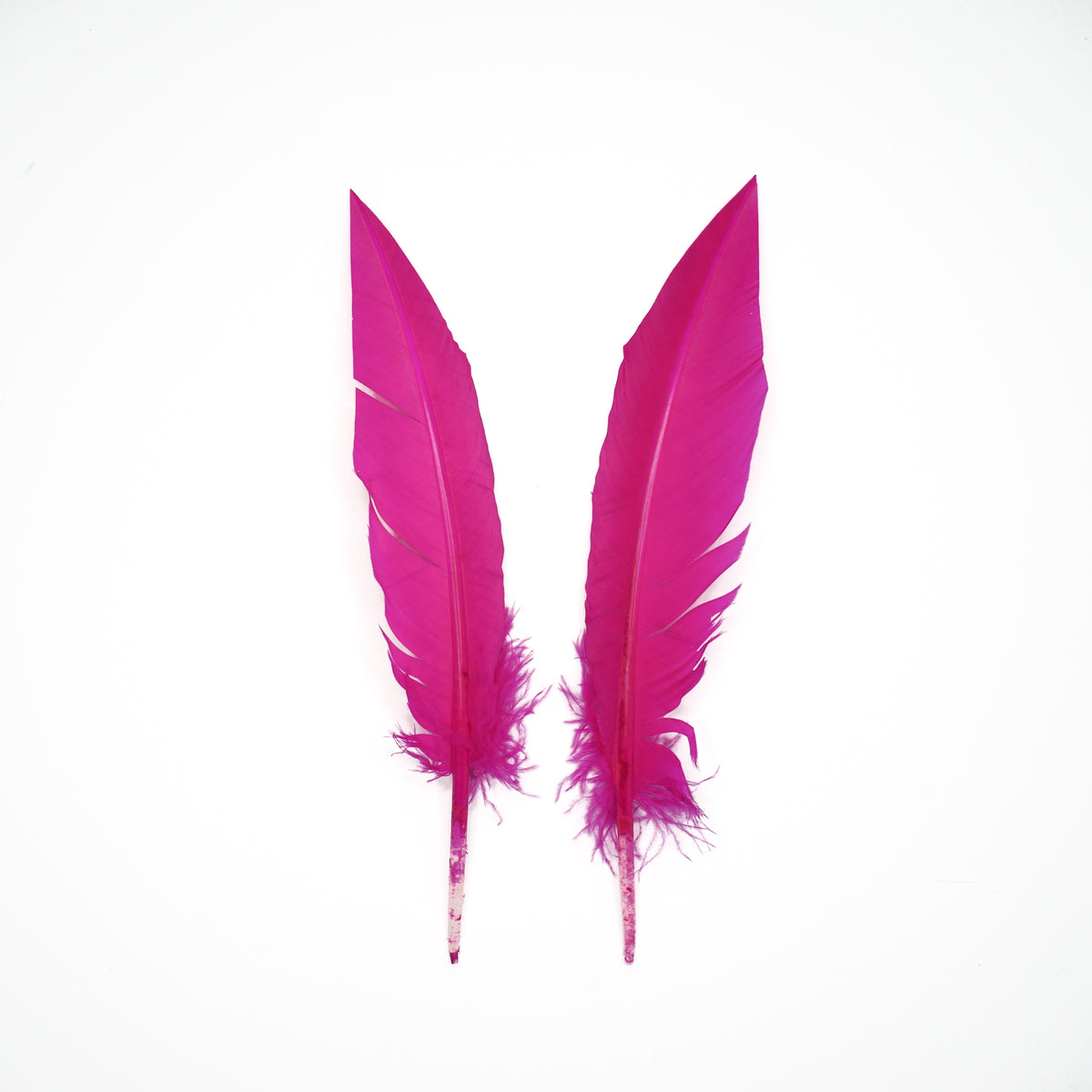 Shocking Pink Dagger Turkey Quill Feathers 9-12"