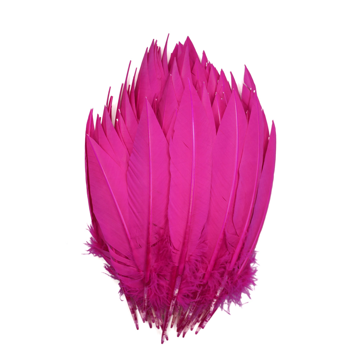 Shocking Pink Dagger Turkey Quill Feathers 9-12"