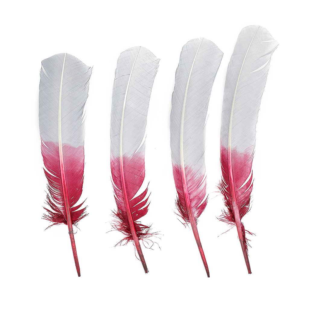 Ombre Turkey Quill Feathers 10-12"   Dip  .25 lb - Burgundy/ Silver