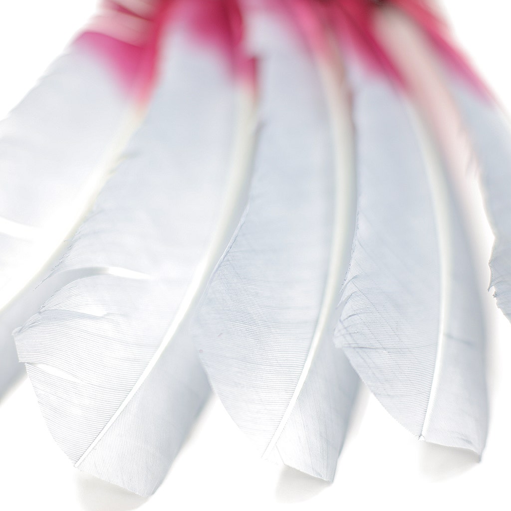 Ombre Turkey Quill Feathers 10-12"   Dip  .25 lb - Burgundy/ Silver