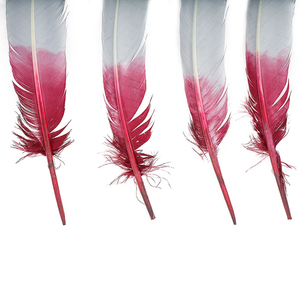 Ombre Turkey Quill Feathers 10-12"   Dip  .25 lb - Burgundy/ Silver