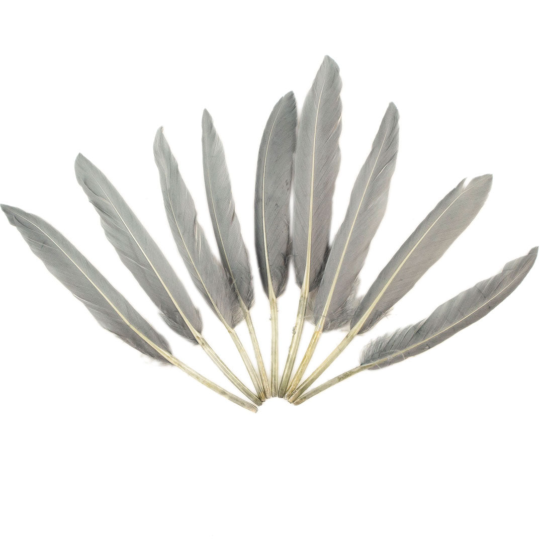 Duck Cosse Feathers - 3 - 6"-Silver