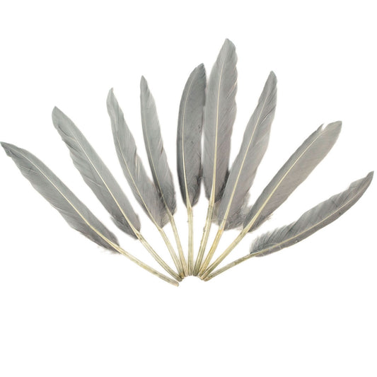 Duck Cosse Feathers - 3 - 6"-Silver