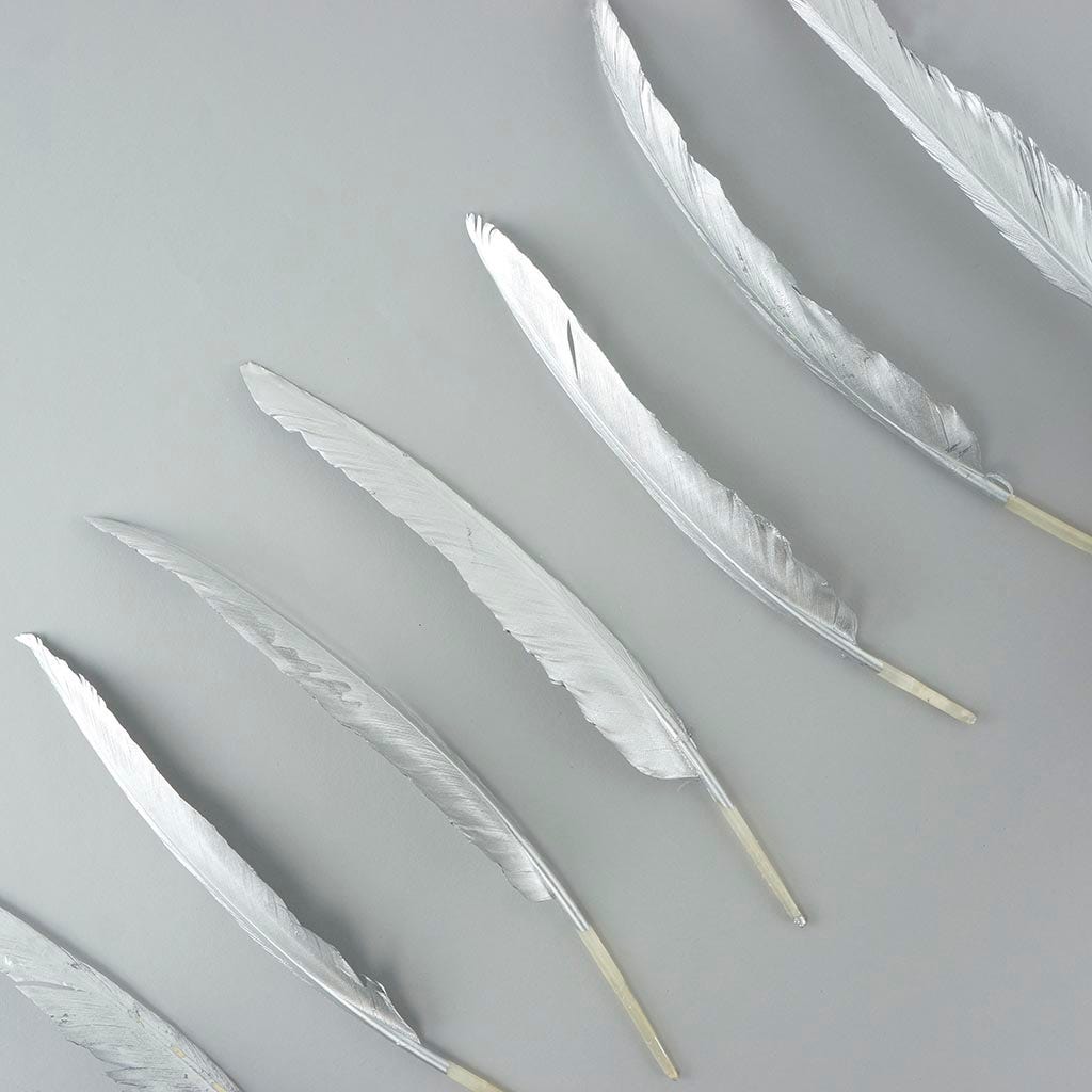 Gilded Goose Pointer Feathers - Silver