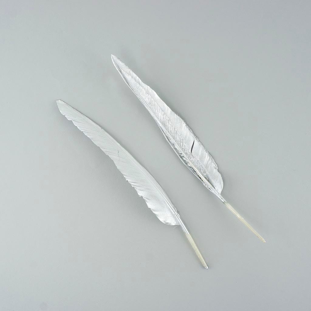 Gilded Goose Pointer Feathers - Silver