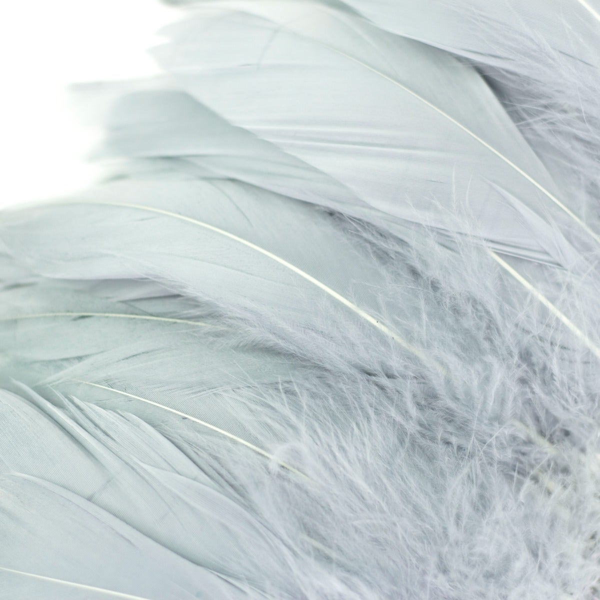 Goose Nagorie Dyed Feathers -Silver