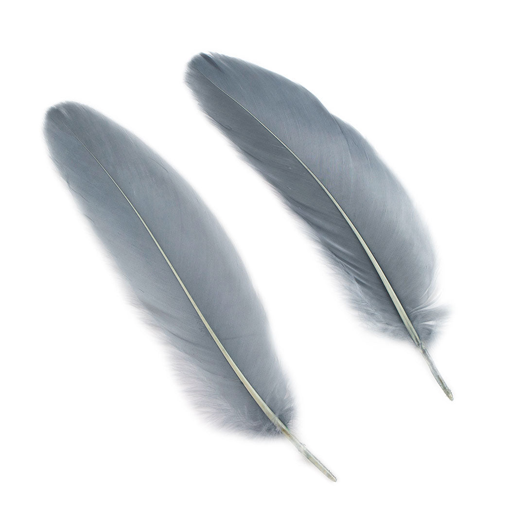 Goose Satinette Feathers Dyed - Silver - 1/4 lb