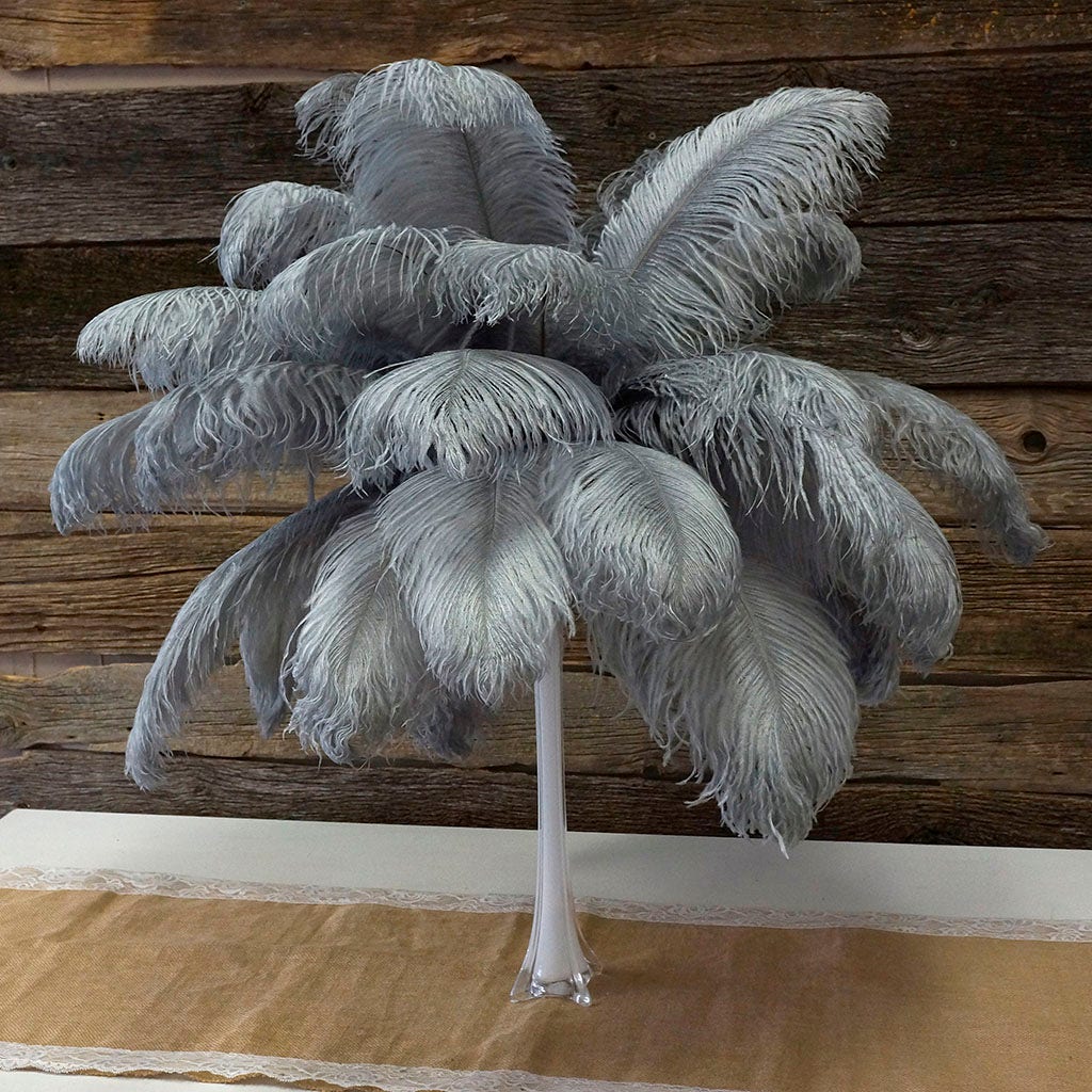 Large Ostrich Feathers - 17"+ Drabs - Silver