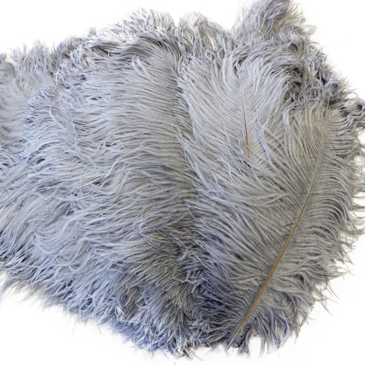 Large Ostrich Feathers - 17"+ Drabs - Silver