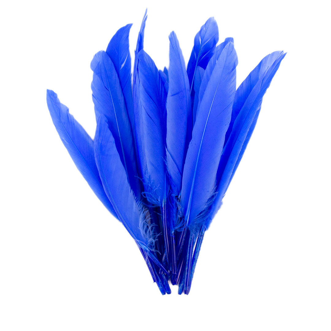 Duck Cosse Feathers - 3 - 6"-Sky