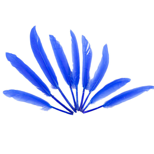 Duck Cosse Feathers - 3 - 6"-Sky