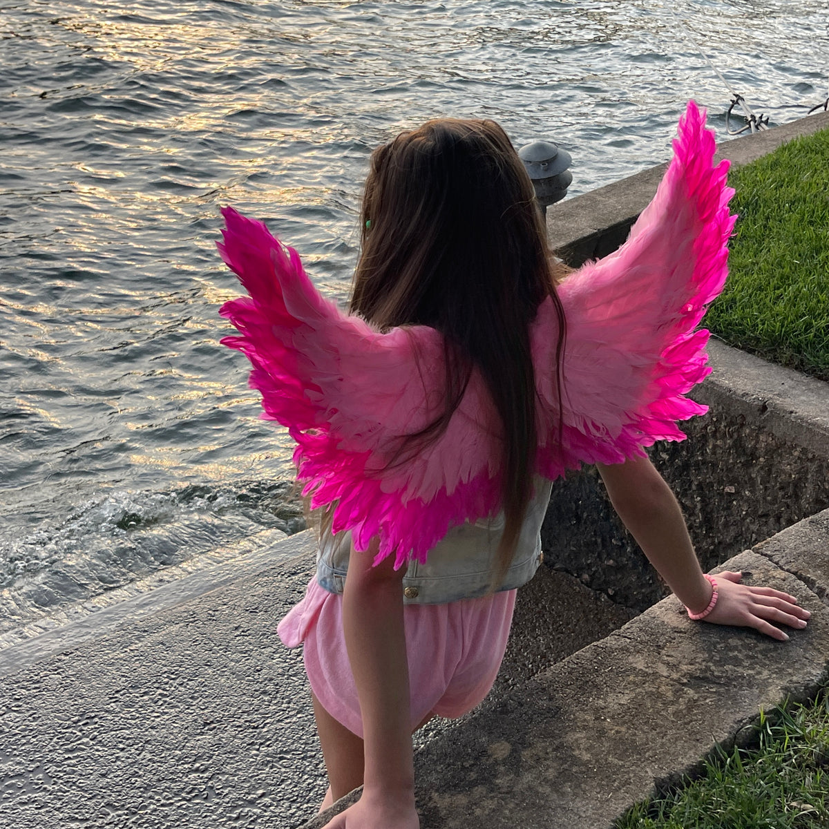 Small Two-tone Pink Wings