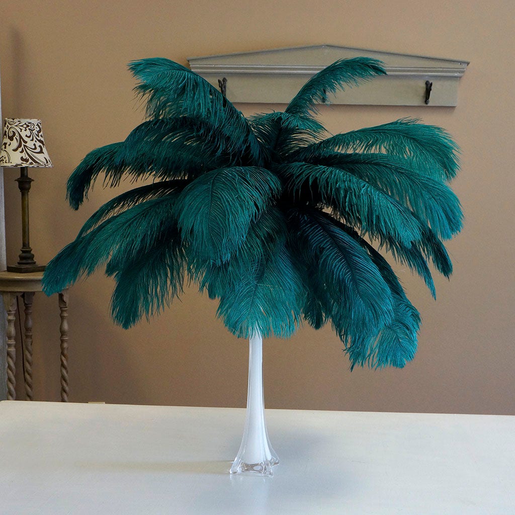 Large Ostrich Feathers - 17"+ Drabs - Teal