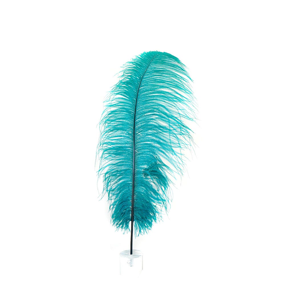 Large Ostrich Feathers - 17"+ Drabs - Teal