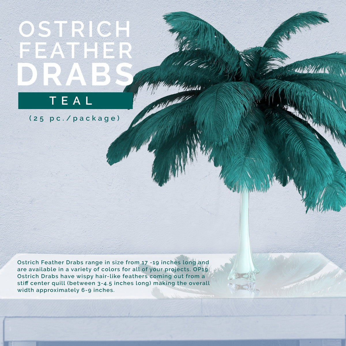 Large Ostrich Feathers - 17"+ Drabs - Teal