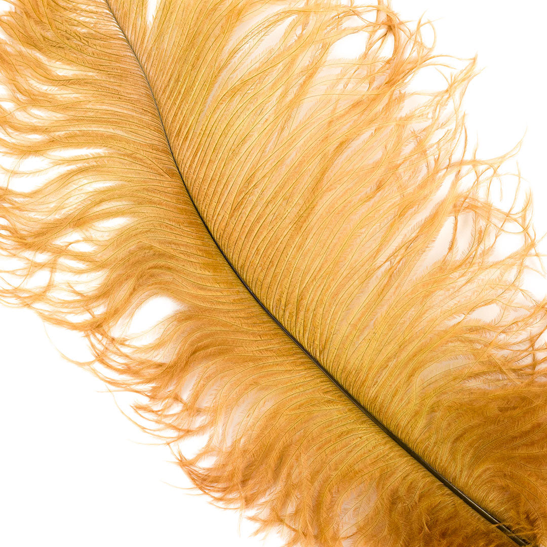 Large Ostrich Feathers - 17"+ Drabs - Toasted Almond