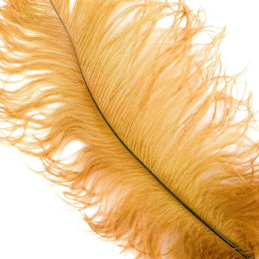 Large Ostrich Feathers - 17"+ Drabs - Toasted Almond