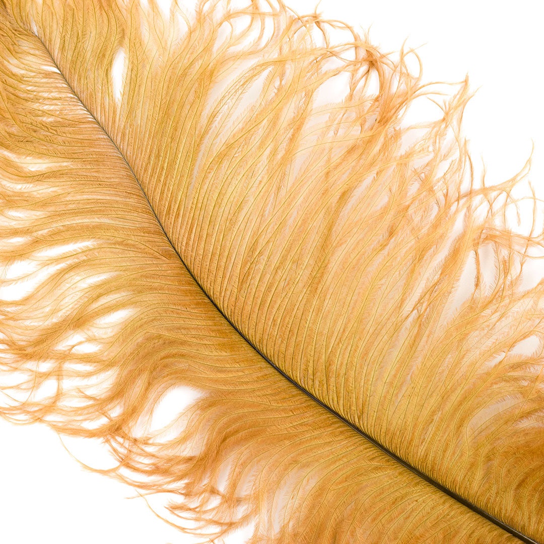 Large Ostrich Feathers - 17"+ Drabs - Toasted Almond