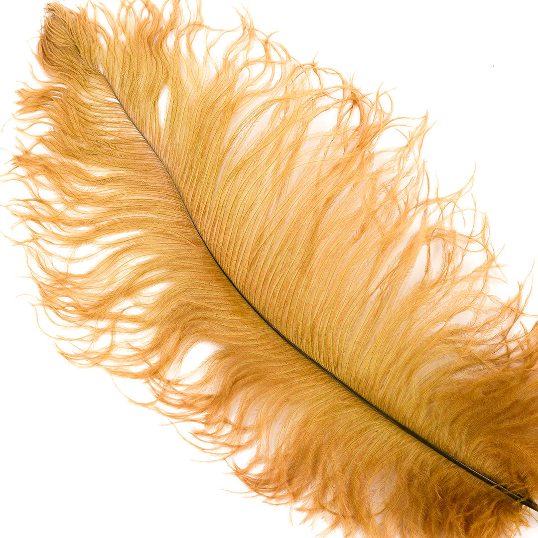 Large Ostrich Feathers - 17"+ Drabs - Toasted Almond