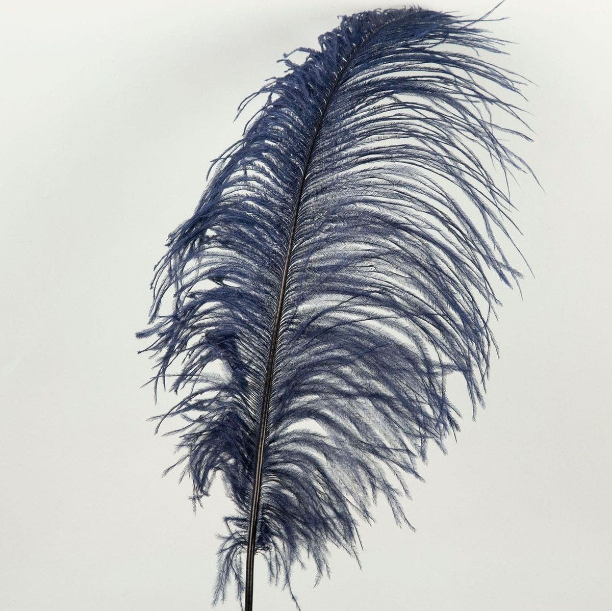 Ostrich Tails 16-18 inch  - 30 PC - Navy