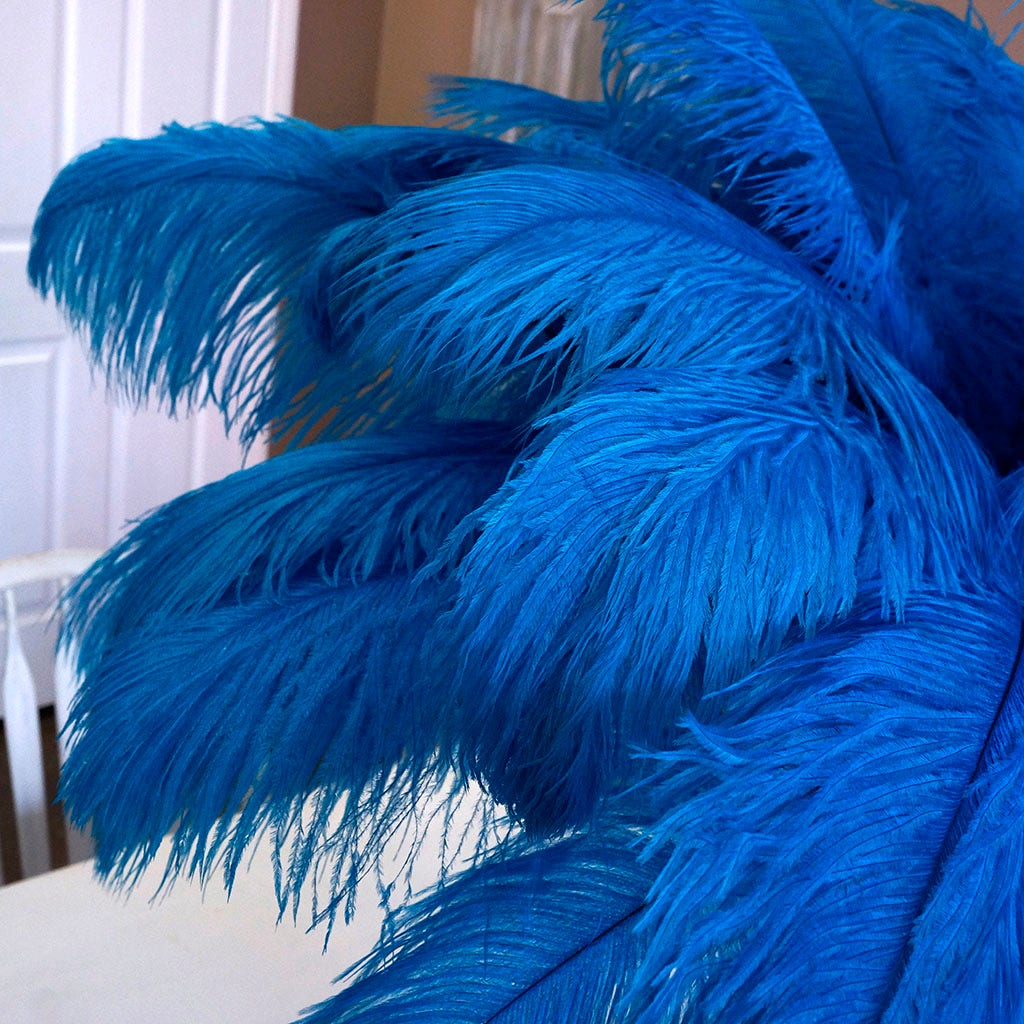 Large Ostrich Feathers - 17"+ Drabs - Dark Turquoise