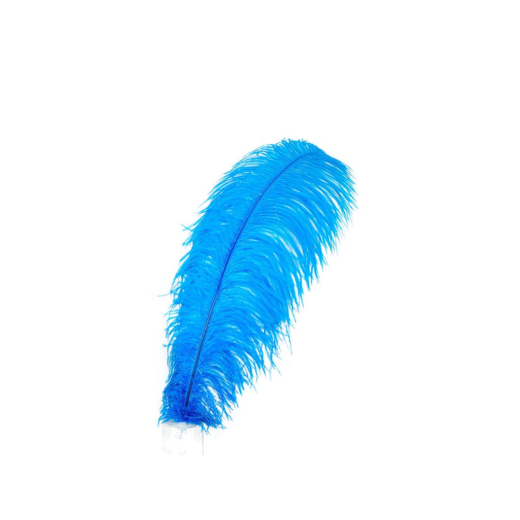 Large Ostrich Feathers - 17"+ Drabs - Dark Turquoise