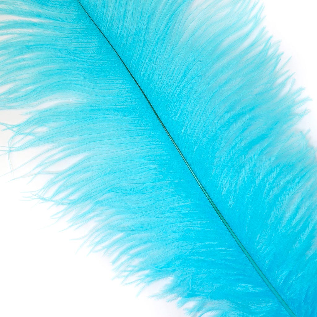 Large Ostrich Feathers - 17"+ Drabs - Light Turquoise