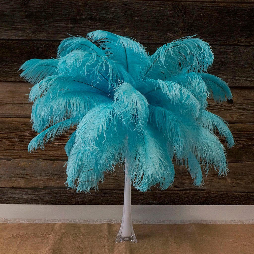 Large Ostrich Feathers - 17"+ Drabs - Light Turquoise