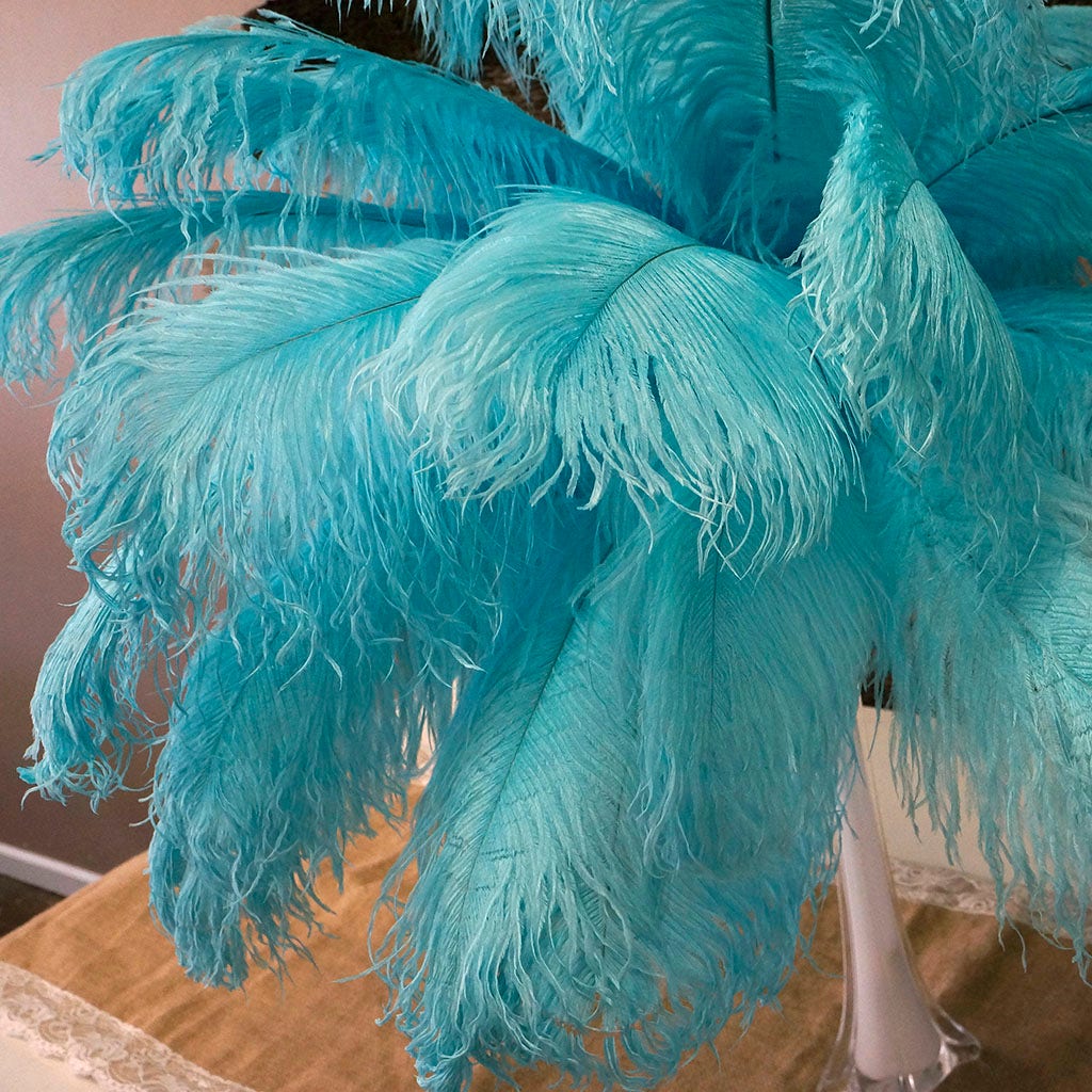 Large Ostrich Feathers - 17"+ Drabs - Light Turquoise