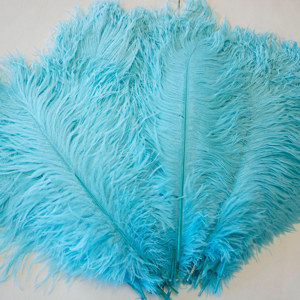 Large Ostrich Feathers - 17"+ Drabs - Light Turquoise