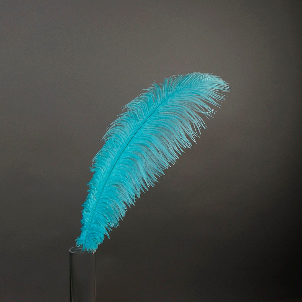 Large Ostrich Feathers - 17"+ Drabs - Light Turquoise