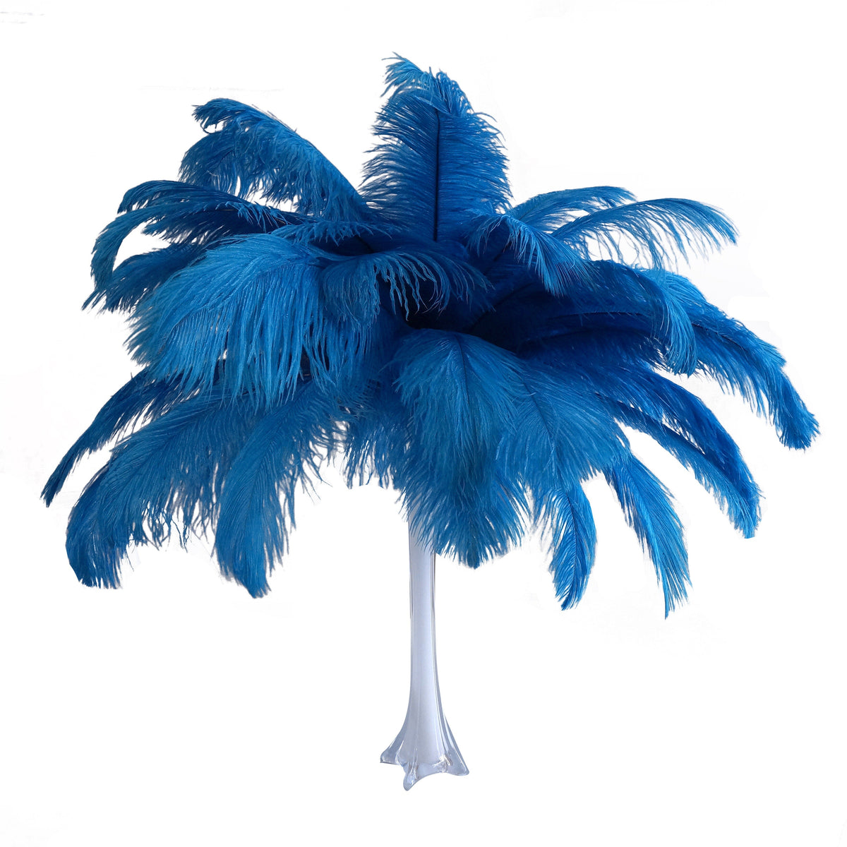 Large Ostrich Feathers - 17"+ Drabs - Dark Turquoise