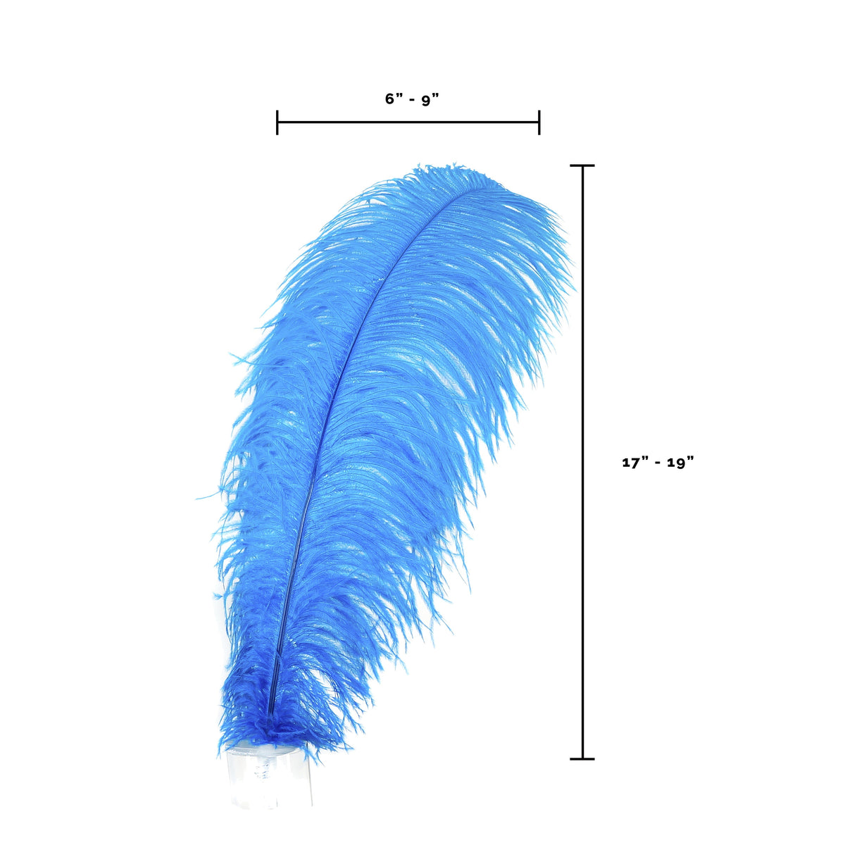 Large Ostrich Feathers - 17"+ Drabs - Dark Turquoise