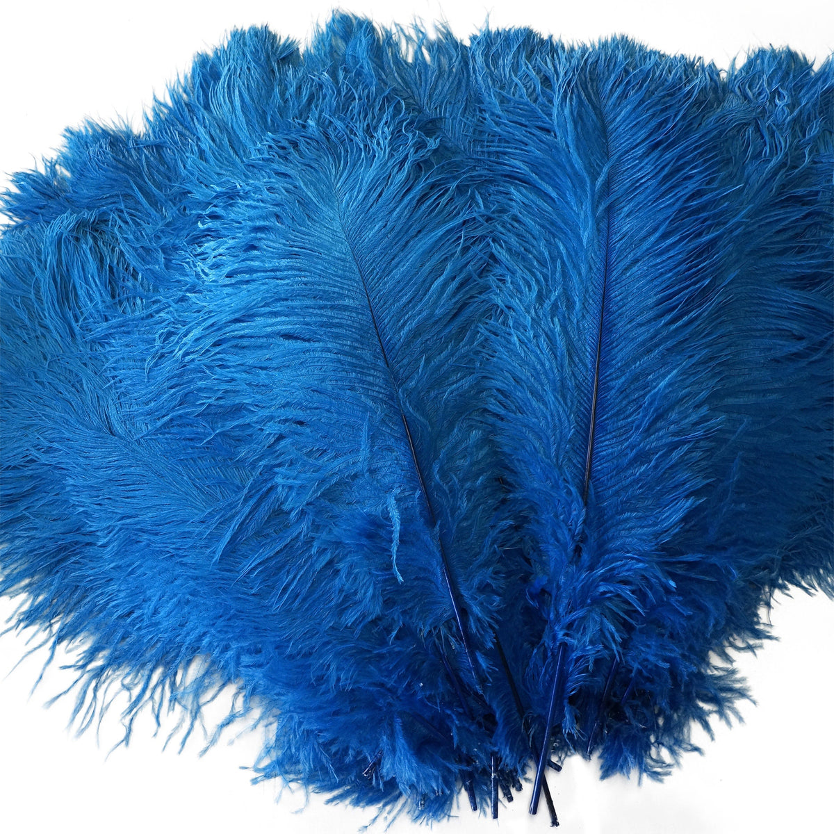 Large Ostrich Feathers - 17"+ Drabs - Dark Turquoise