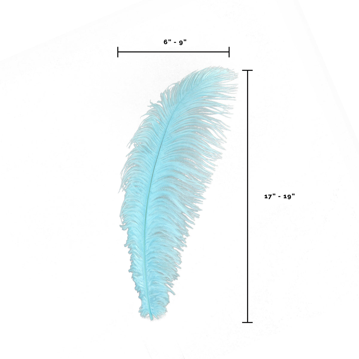 Large Ostrich Feathers - 17"+ Drabs - Light Turquoise