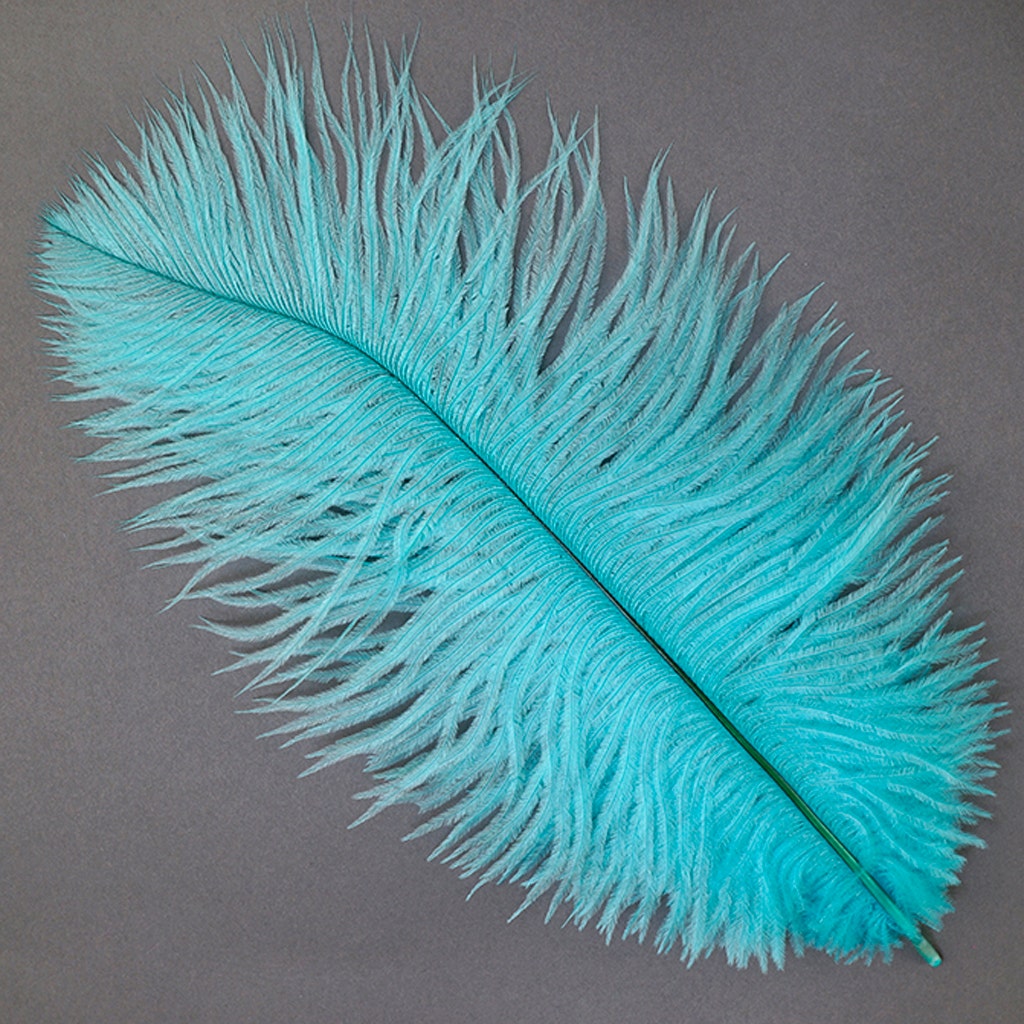 Ostrich Feathers 9-12" Drabs - Light Turquoise