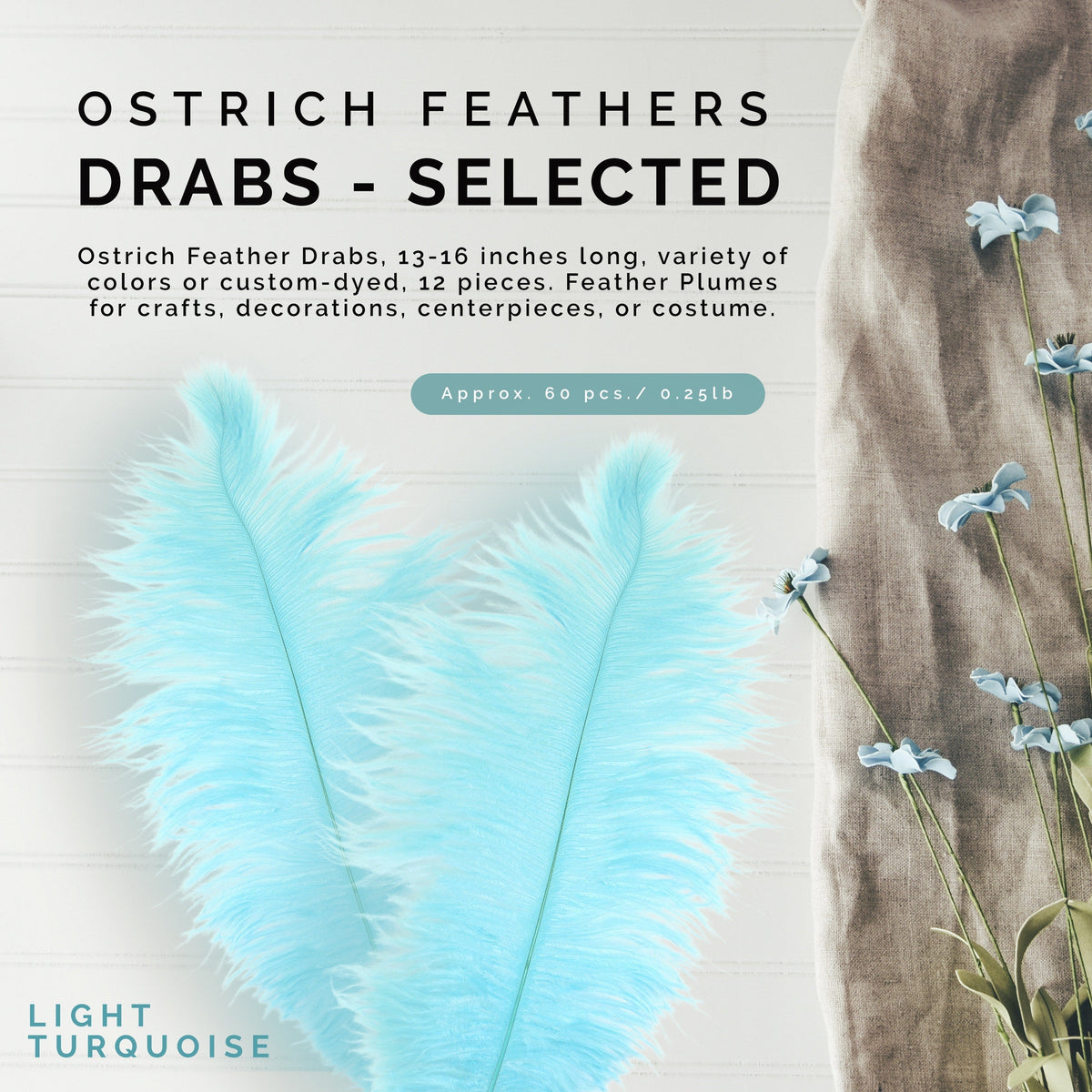 Ostrich Feathers 13-16" Drabs - Light Turquoise