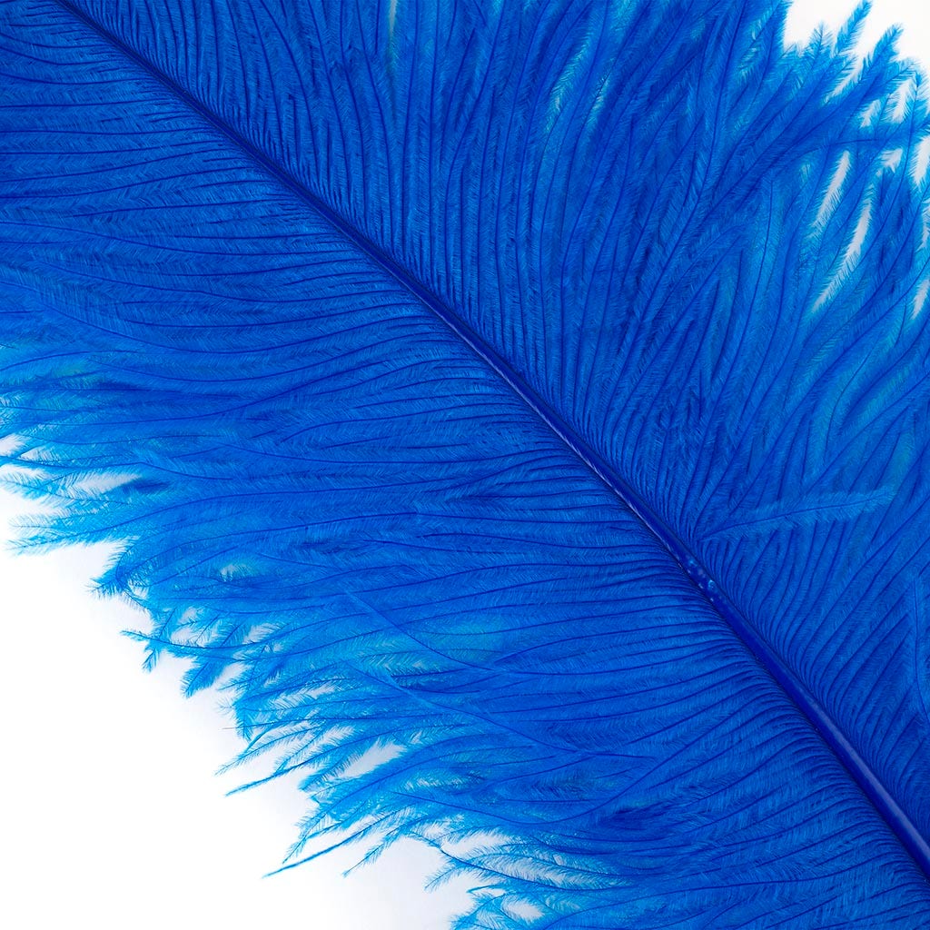 Large Ostrich Feathers - 20-25" Prime Femina Plumes - Dark Turquoise