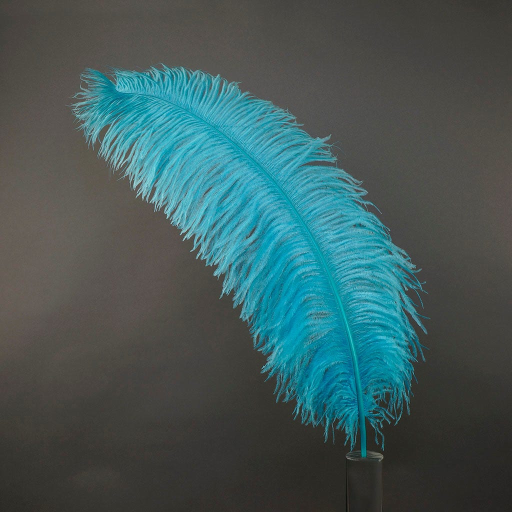 Large Ostrich Feathers - 24-30" Prime Femina Plumes - Light Turquoise