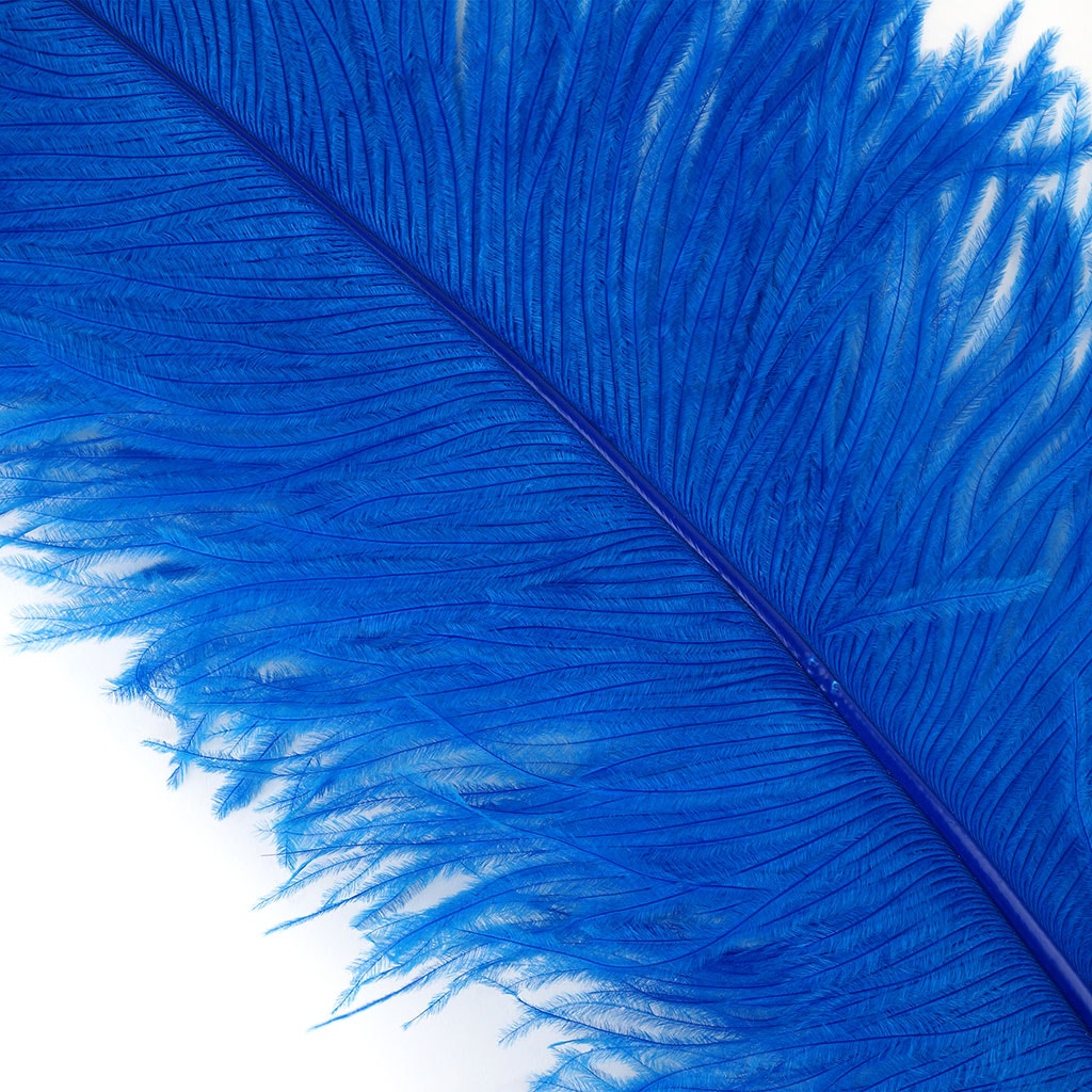 Large Ostrich Feathers - 20-25" Prime Femina Plumes - Dark Turquoise